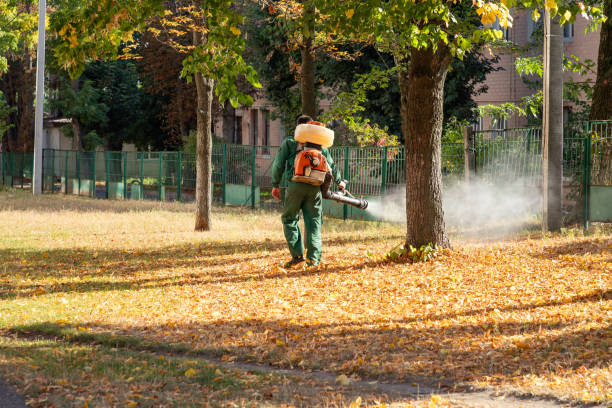 Reliable Middletown, DE Pest Control Solutions